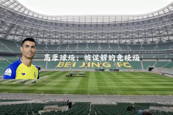 高原球场：被误解的竞技场