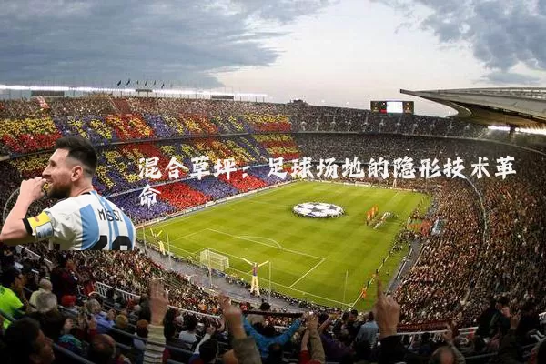 混合草坪：足球场地的隐形技术革命